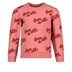 Jubel truien 155 l.Roze 91600444