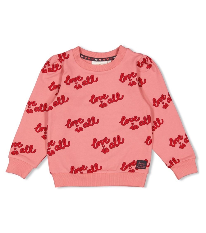 Jubel truien & vesten 155 l.Roze 91600444