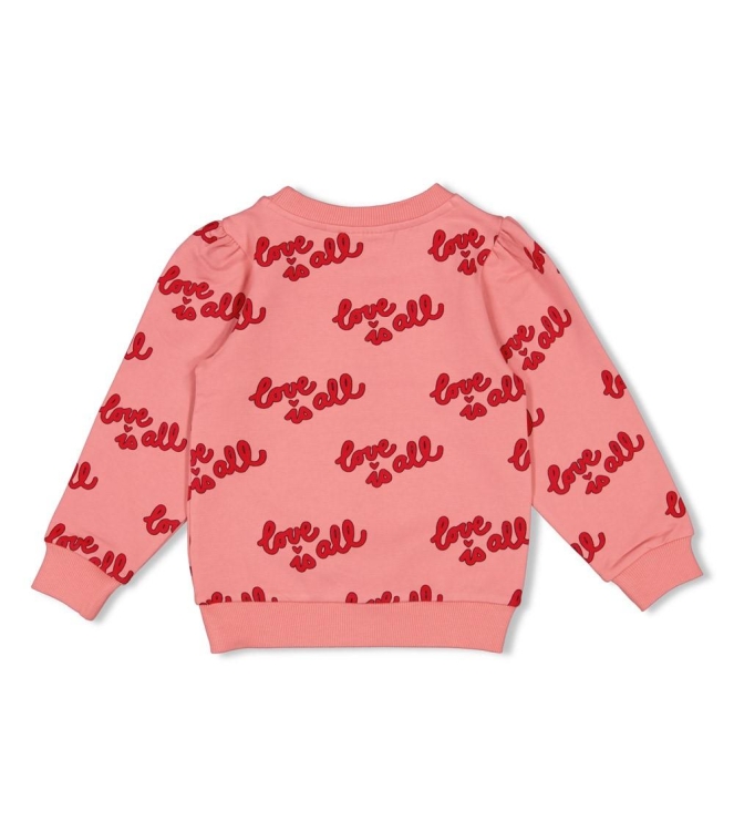 Jubel truien & vesten 155 l.Roze 91600444