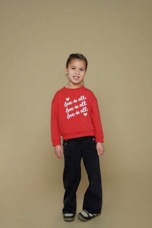 Jubel truien & vesten 100 Rood 91600445