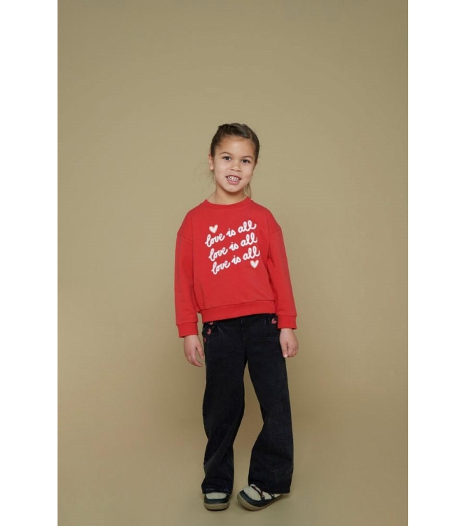 Jubel truien & vesten 100 Rood 91600445