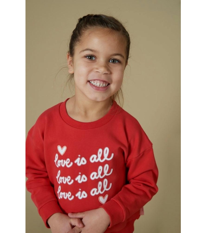 Jubel truien & vesten 100 Rood 91600445