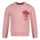Jubel truien 155 l.Roze 91600451