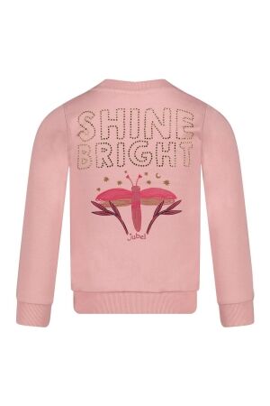 Jubel truien & vesten 155 l.Roze 91600451
