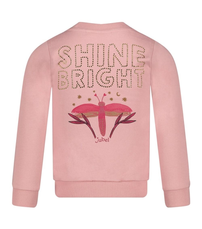 Jubel truien & vesten 155 l.Roze 91600451