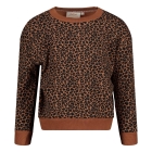 Jubel truien 400 Bruin 91600456