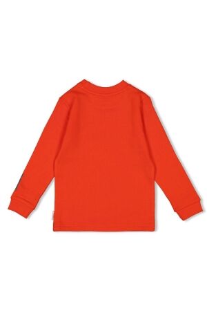 Sturdy shirts 100 Rood 71600611
