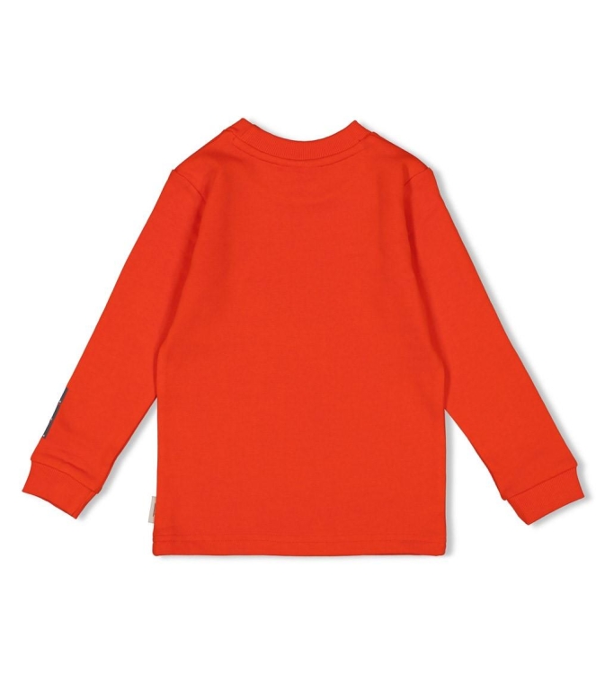 Sturdy shirts 100 Rood 71600611