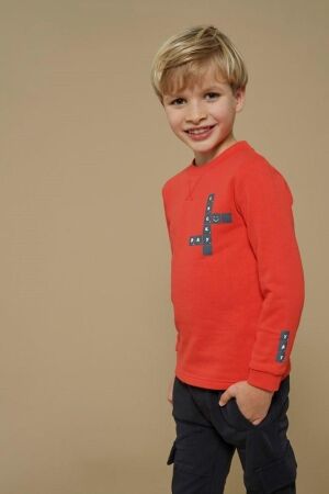 Sturdy shirts 100 Rood 71600611