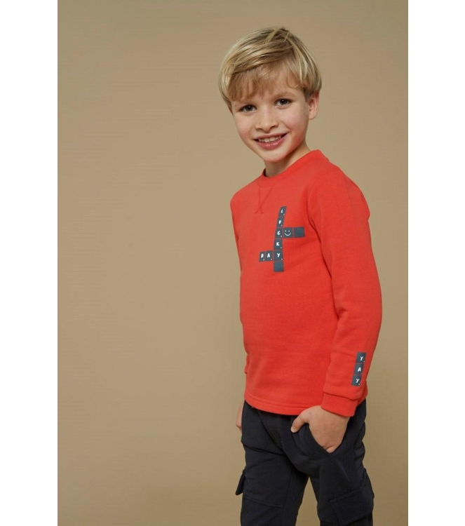 Sturdy shirts 100 Rood 71600611