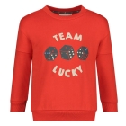 Sturdy truien 100 Rood 71600619