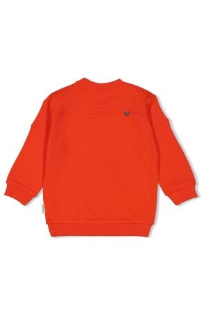 Sturdy truien & vesten 100 Rood 71600619