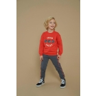 Sturdy truien 100 Rood 71600619