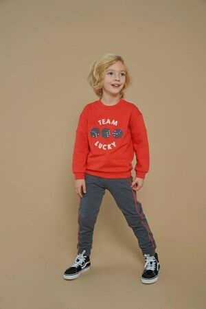 Sturdy truien & vesten 100 Rood 71600619