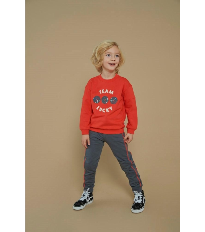 Sturdy truien & vesten 100 Rood 71600619
