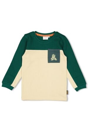 Sturdy Longsleeve - Chasing Trails 300 Groen