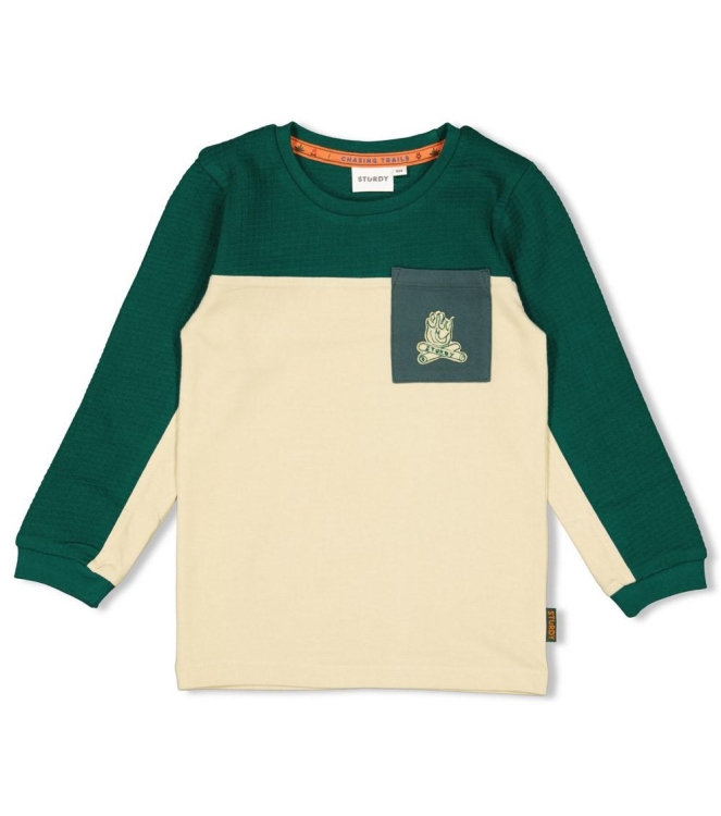 Sturdy shirts 300 Groen 71600622