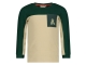 Sturdy shirts 300 Groen 71600622
