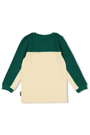 Sturdy shirts 300 Groen 71600622