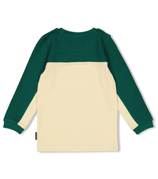 Sturdy shirts 300 Groen 71600622