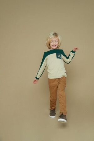 Sturdy shirts 300 Groen 71600622