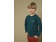 Sturdy shirts 080 Petrol 71600626
