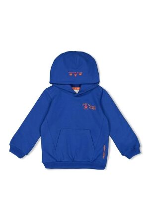 Sturdy Hoody - Chasing Trails 015 Blauw