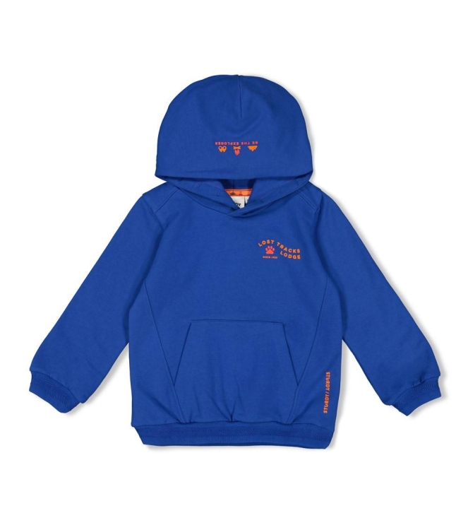 Sturdy truien & vesten 015 Blauw 71600628