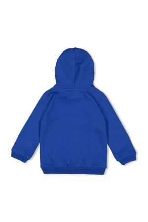 Sturdy truien & vesten 015 Blauw 71600628