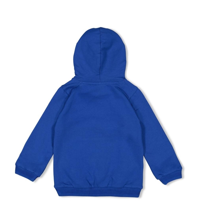 Sturdy truien & vesten 015 Blauw 71600628