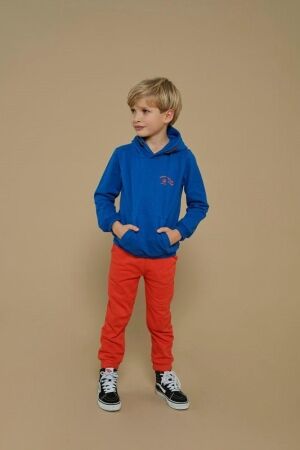 Sturdy truien & vesten 015 Blauw 71600628