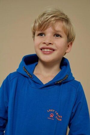 Sturdy truien & vesten 015 Blauw 71600628