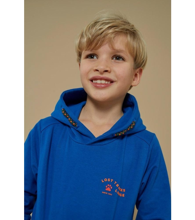 Sturdy truien & vesten 015 Blauw 71600628