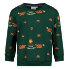 Sturdy truien & vesten 300 Groen 71600630