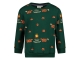 Sturdy truien & vesten 300 Groen 71600630