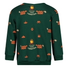 Sturdy truien & vesten 300 Groen 71600630