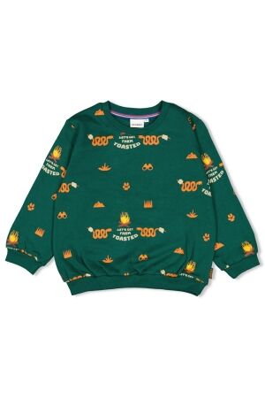 Sturdy truien & vesten 300 Groen 71600630