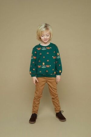 Sturdy truien & vesten 300 Groen 71600630