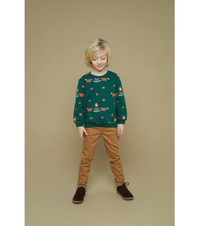 Sturdy truien & vesten 300 Groen 71600630