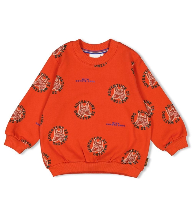 Sturdy truien & vesten 350 Oranje 71600631