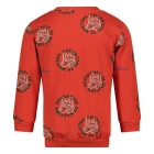 Sturdy truien & vesten 350 Oranje 71600631