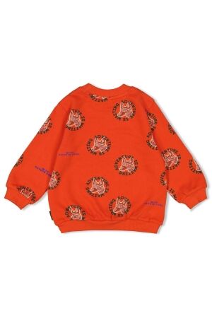 Sturdy truien & vesten 350 Oranje 71600631
