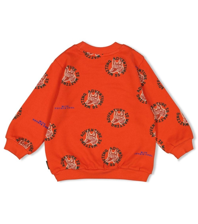Sturdy truien & vesten 350 Oranje 71600631