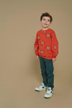 Sturdy truien & vesten 350 Oranje 71600631