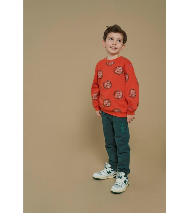Sturdy truien & vesten 350 Oranje 71600631