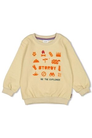 Sturdy Sweater - Chasing Trails 510 Kit