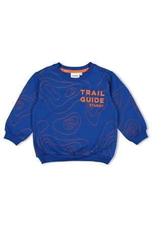 Sturdy Sweater AOP - Chasing Trails 015 Blauw