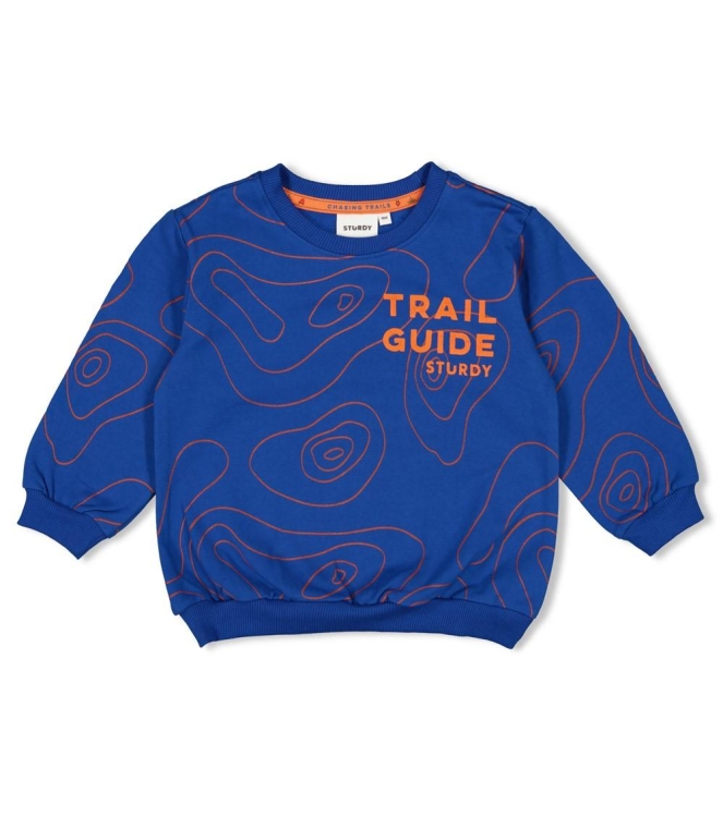 Sturdy truien & vesten 015 Blauw 71600633
