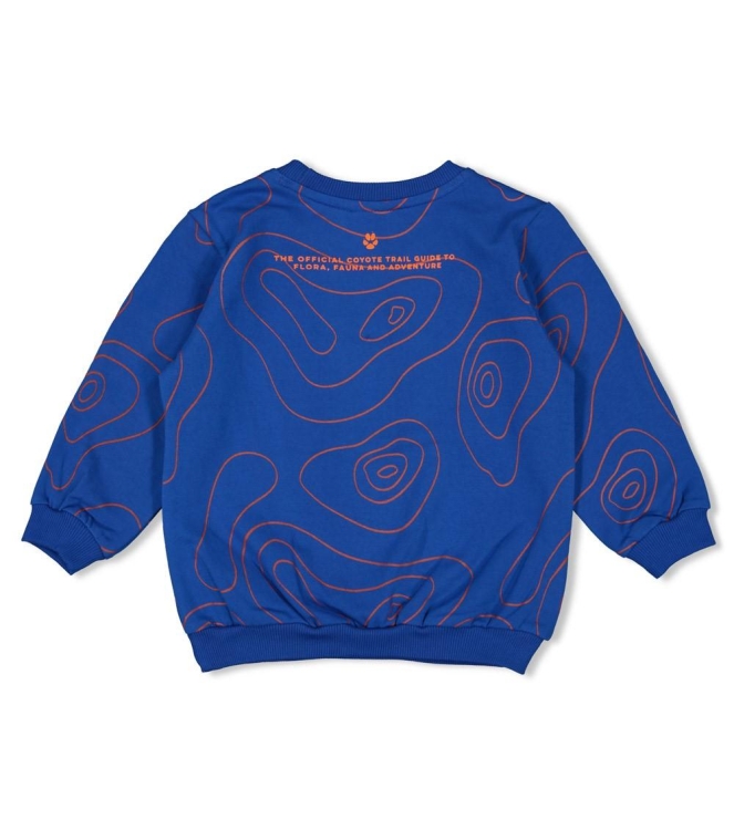Sturdy truien & vesten 015 Blauw 71600633