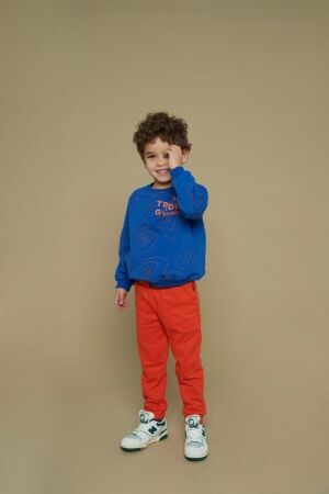 Sturdy truien & vesten 015 Blauw 71600633